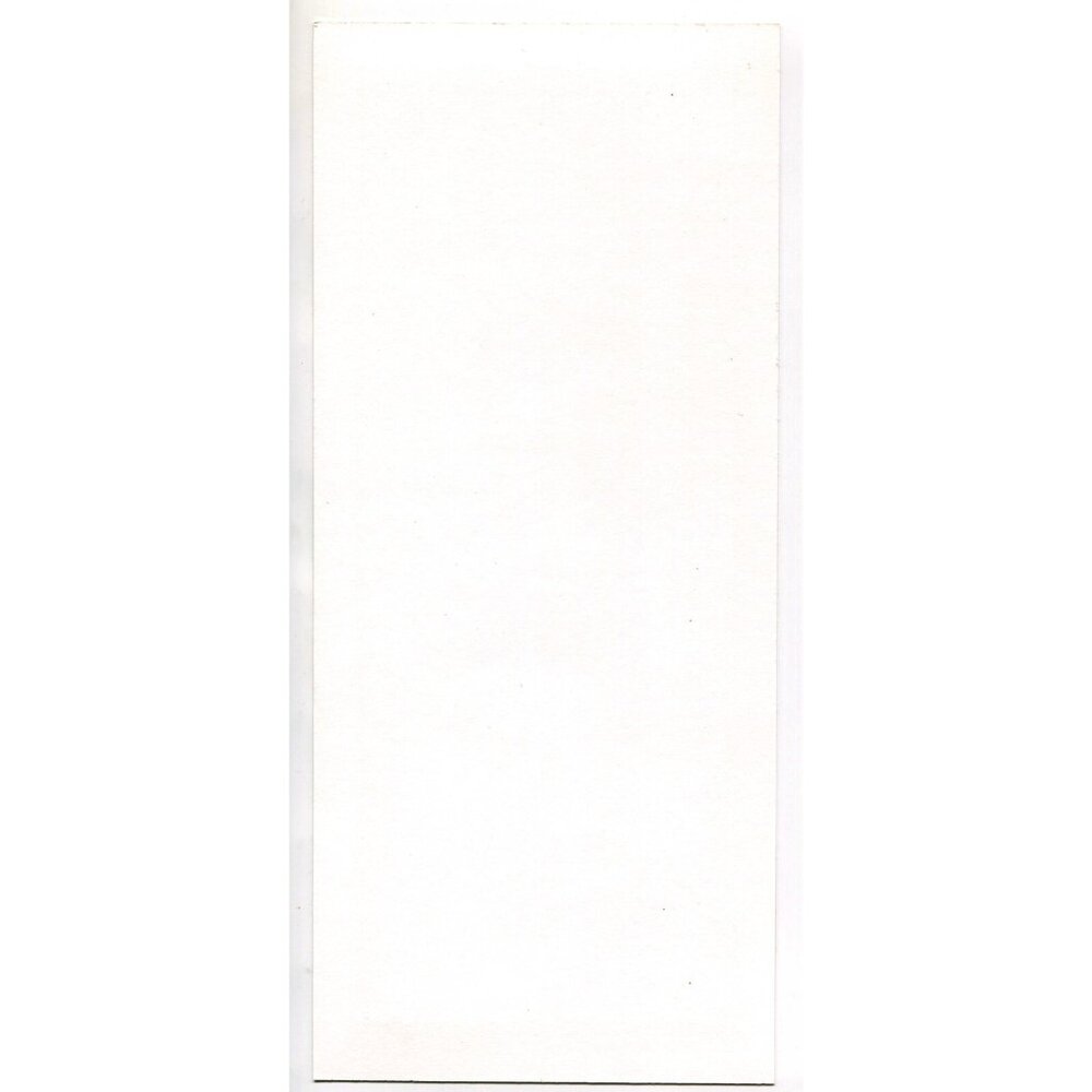 New Monsoon & Hot Buttered Rum Handbill – Jeff Wood, Denver 2006, Cervante - Picture 2 of 2